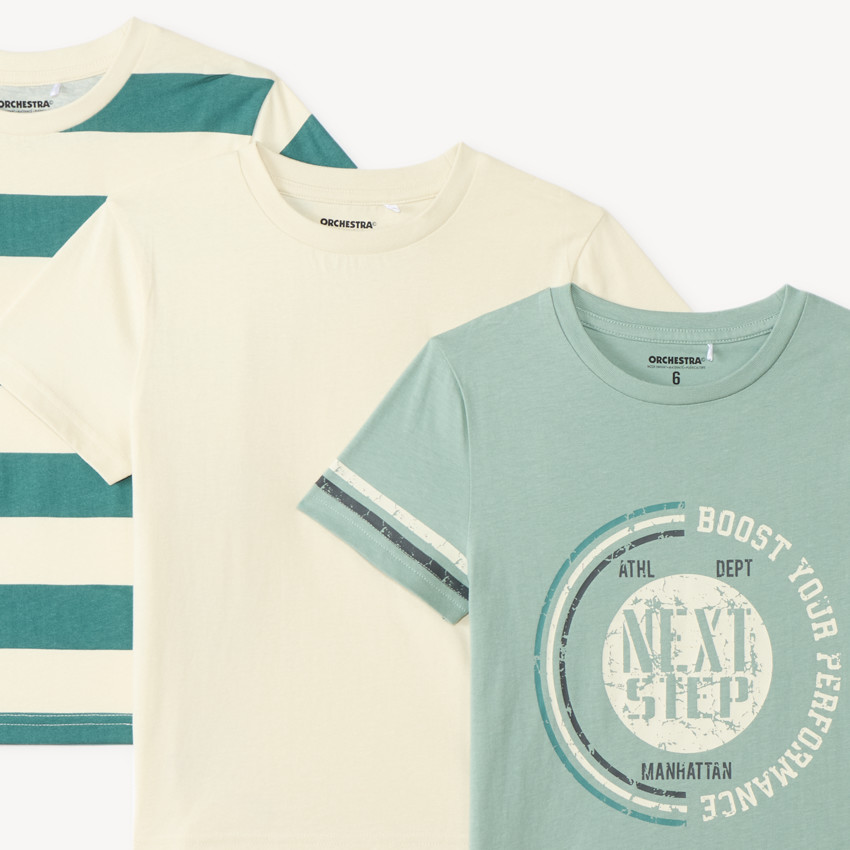 Lot de 3 t-shirts manches courtes fantaisie garçon 