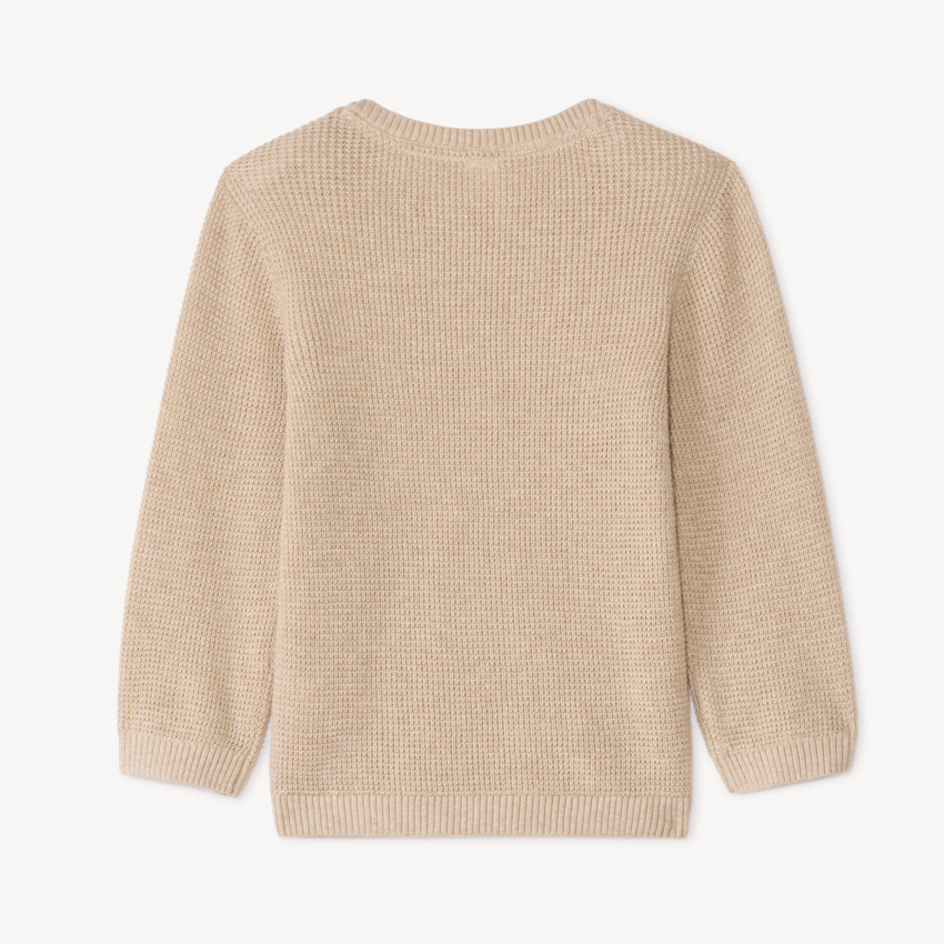 Pull en tricot uni brodé cactus pour bébé garçon 