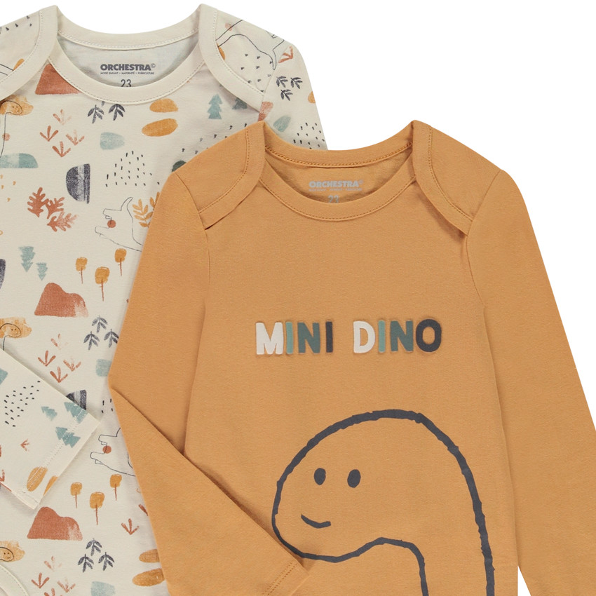 Lot de 5 bodies manches longues dinosaures pour bébé garçon avec ouvertures différentes selon l'âge 