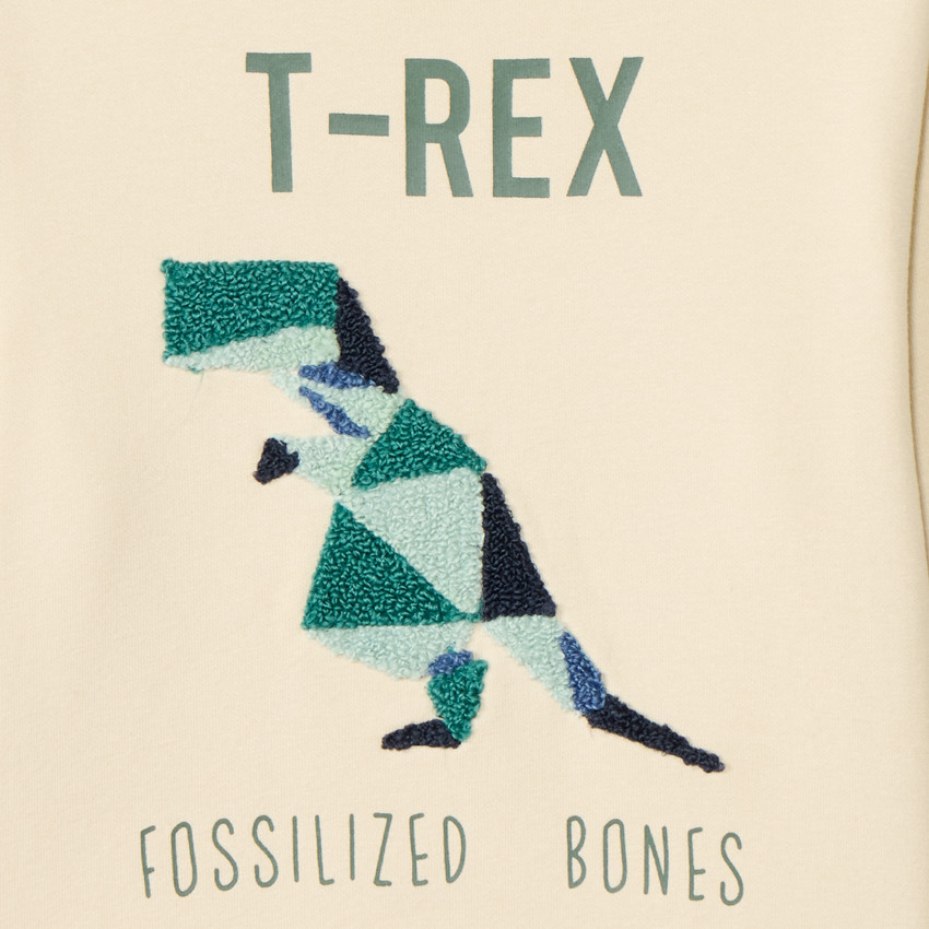 Sweat molleton avec broderie effet bouclette pour garçon  