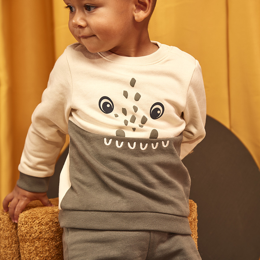 Ensemble 2 Pièces Bébé Garçon - Taille 24 Mois - Jumping Beans & Carter's - Occasion Propre