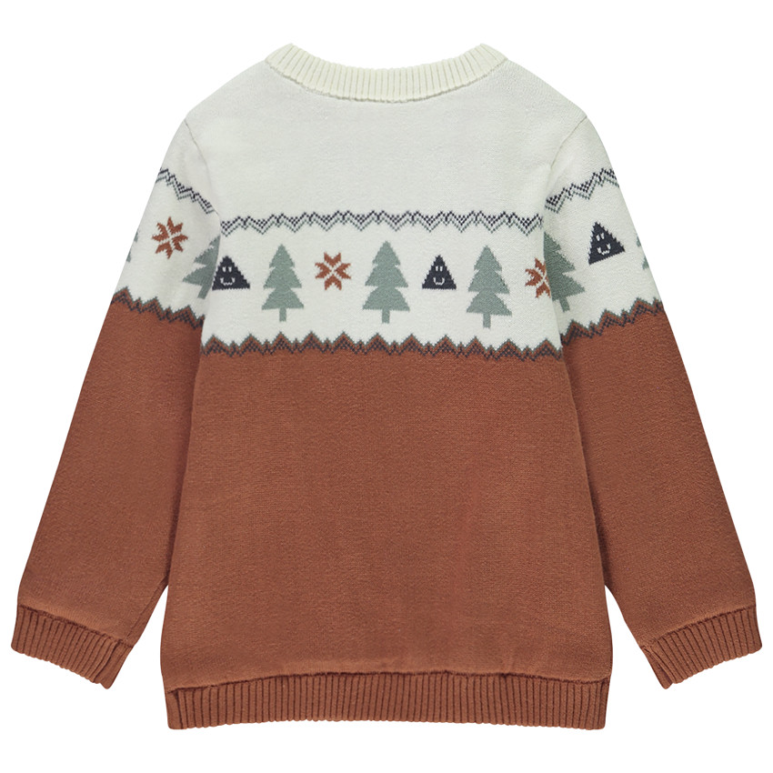Pull en tricot jacquard doublé velours pour bébé garçon 