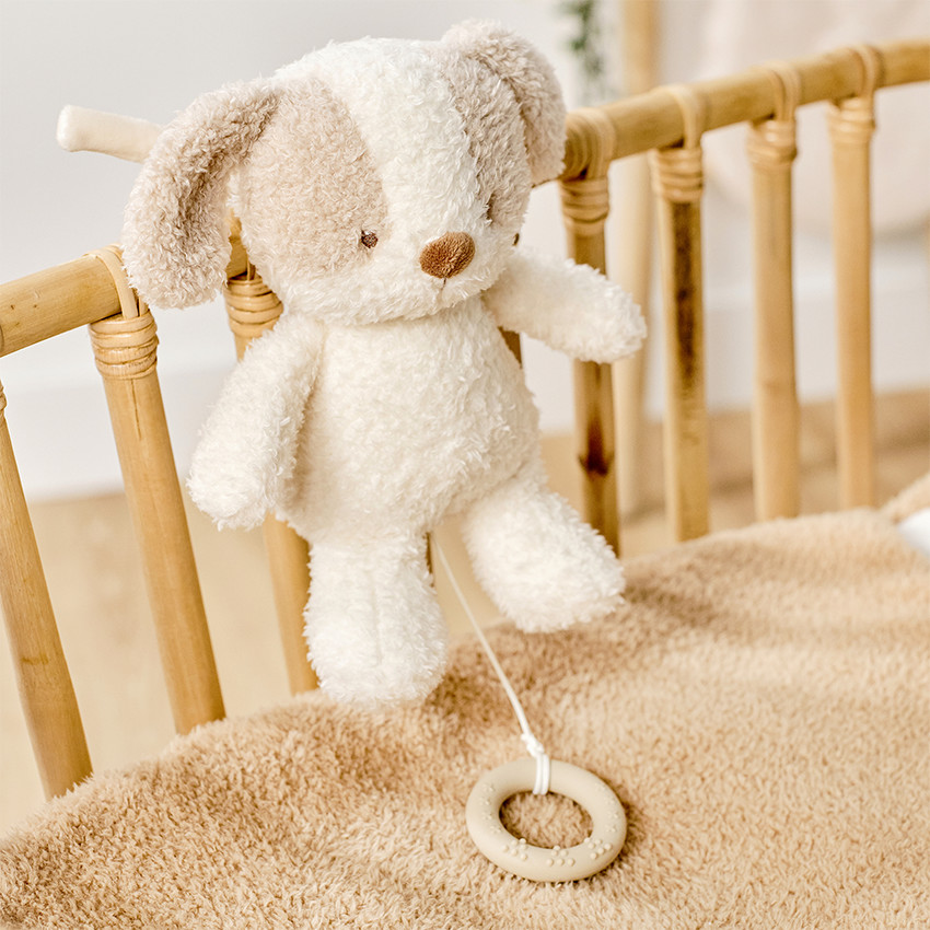Peluche musicale bébé chien - 25cm - Fanfan - Teddy écru 