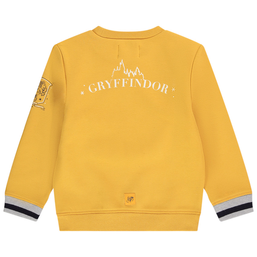 Sweat en molleton print Harry Potter Warner pour garçon 