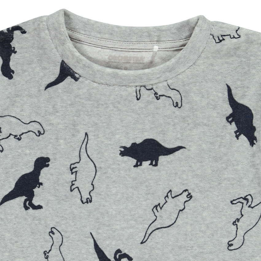 Pyjama 2 pièces en velours imprimé dinosaures pour garçon 