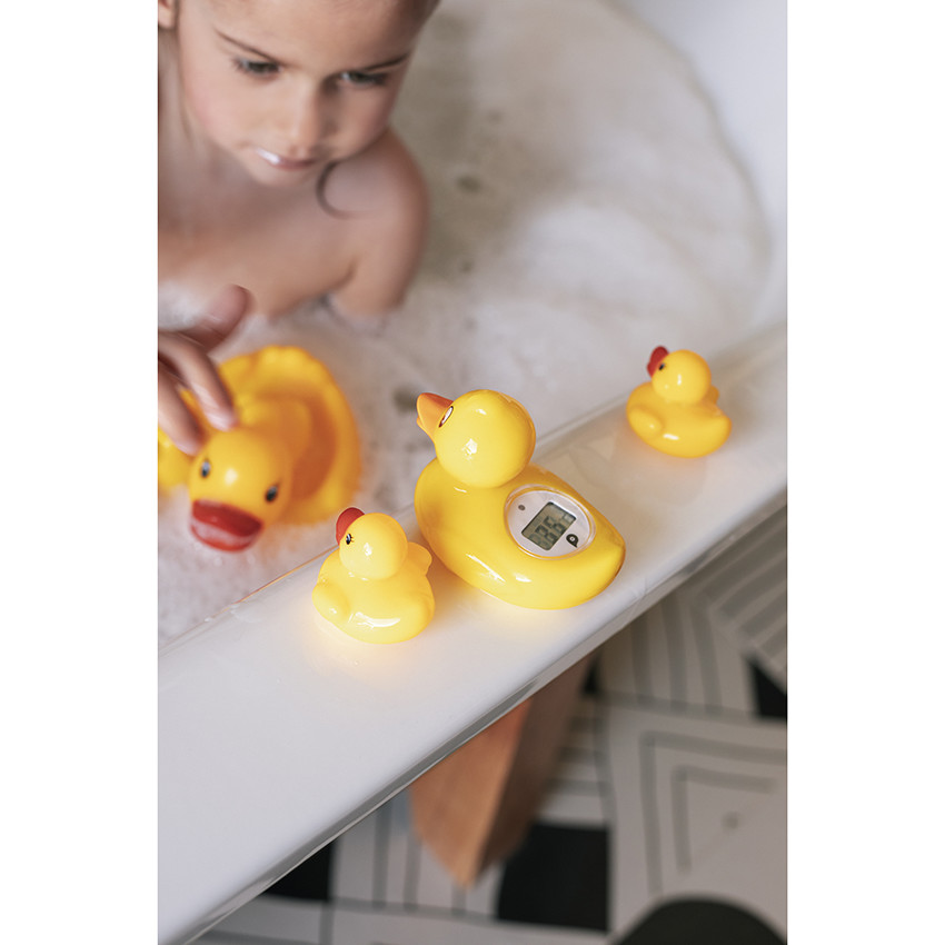 Jouet de bain famille Canard 