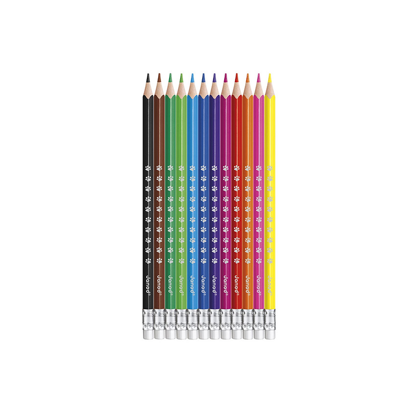 Set de crayons effaçables x 12 