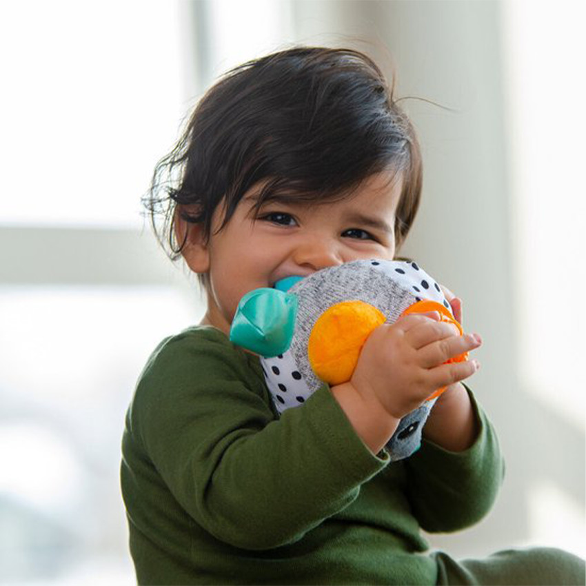 Balle d'activités blaireau multicolore 