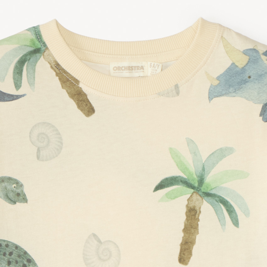 T-shirt manches courtes imprimé dinosaure pour garçon 