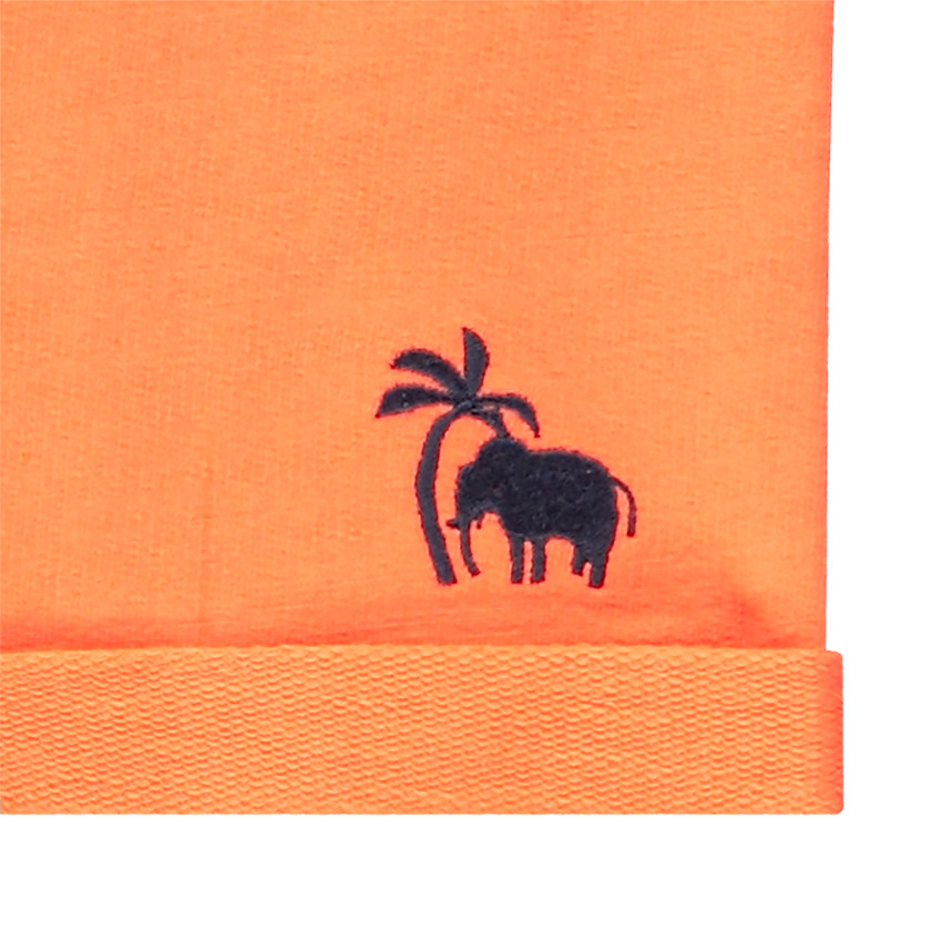 Ensemble de plage fantaisie débardeur + bermuda pour bébé garçon 