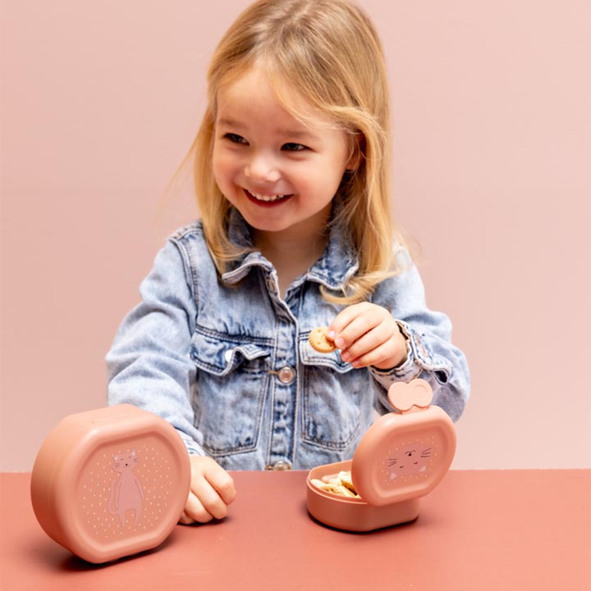 Lot de 2 lunchbox gigognes Mrs. Cat rose 