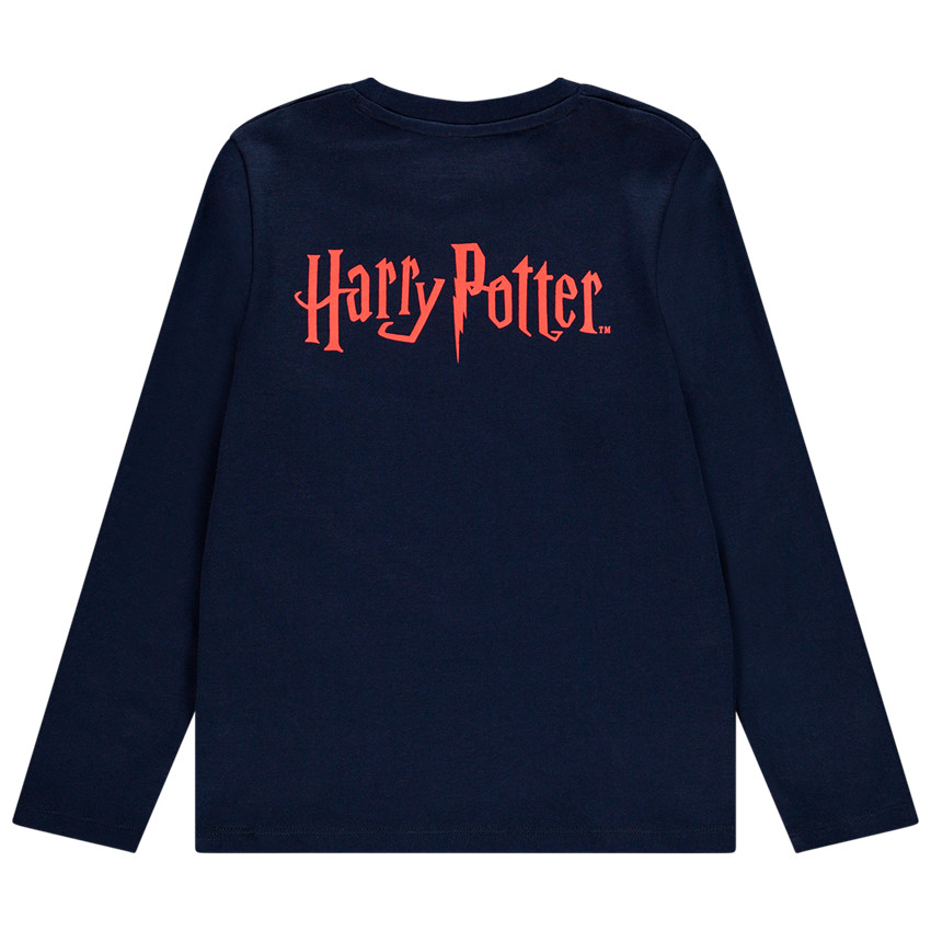 Pyjama en interlock print Hogwarts Harry Potter pour enfant garçon Main Pyjama en interlock print Hogwarts Harry Potter pour enfant garçon