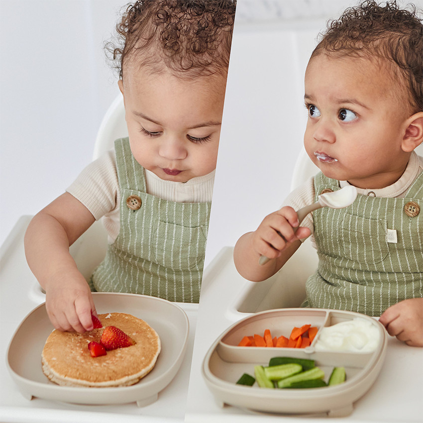 Assiette compartimentée avec ventouse 2-en-1 Ocean 