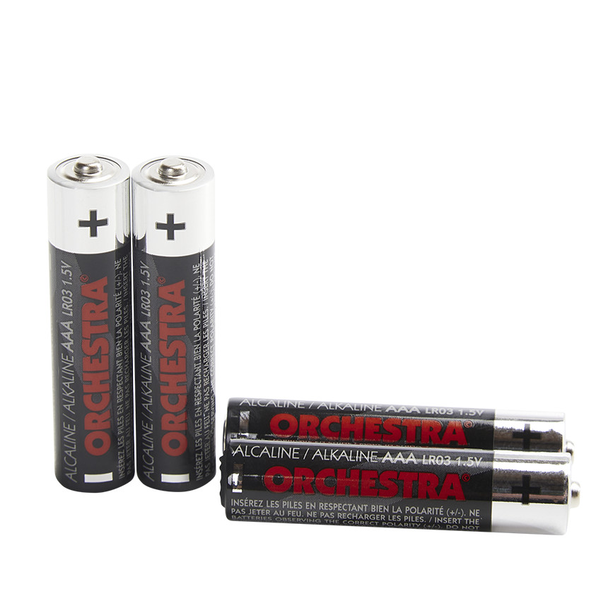 Lot de 4 piles alcalines AAA LR3 - Noir