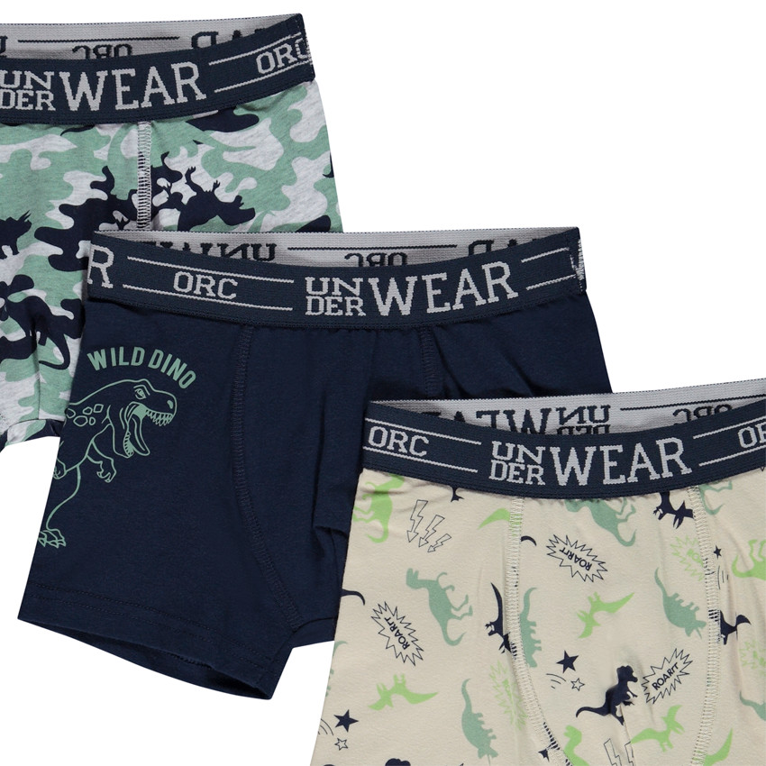 Lot de 5 boxers motifs Wild Dinos pour garçon 
