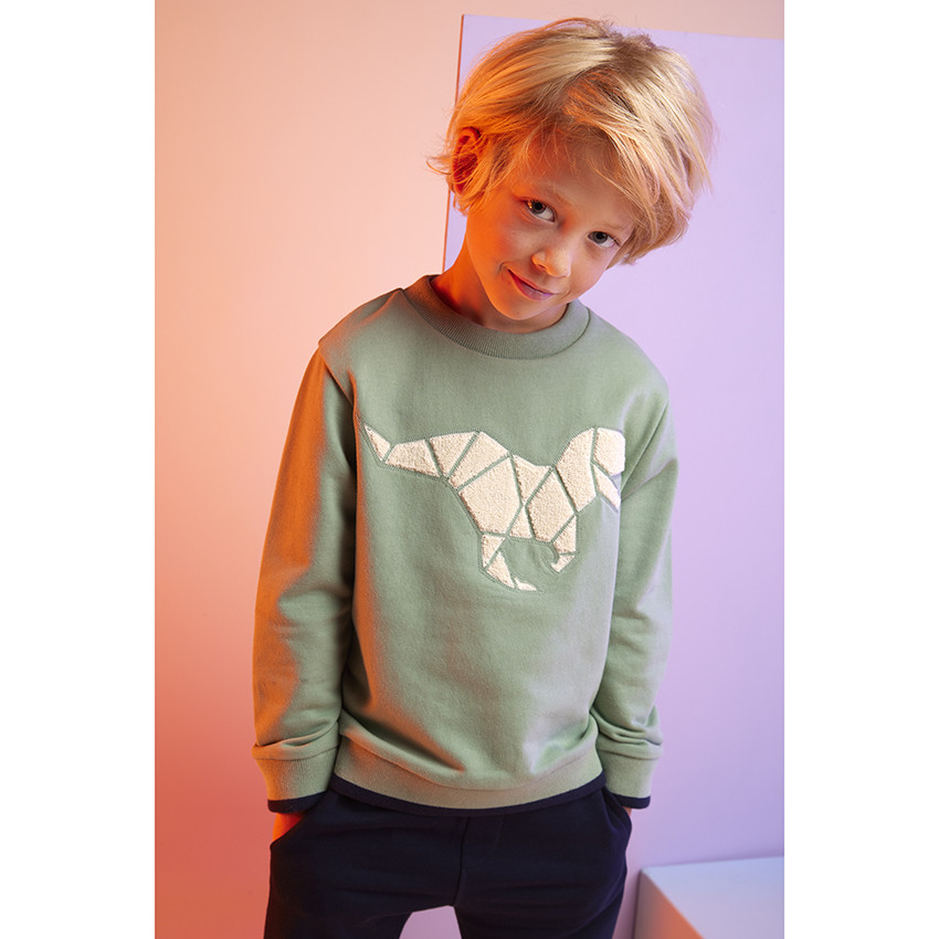 Ensemble sweat patch bouclettes T-Rex + jogging pour garçon 