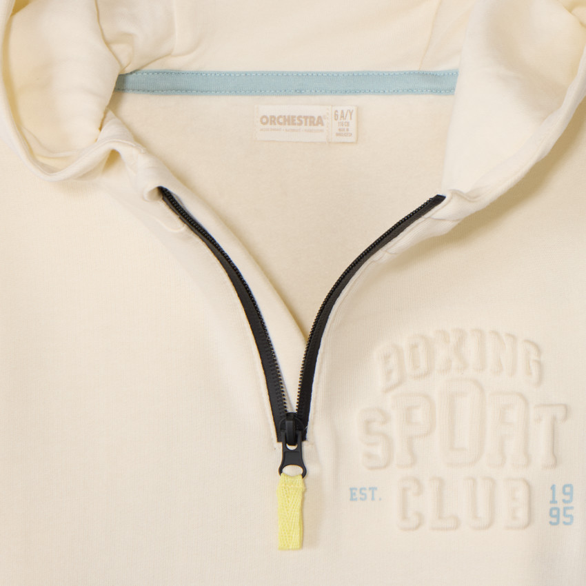 Sweat molleton à capuche effet color block pour garçon 