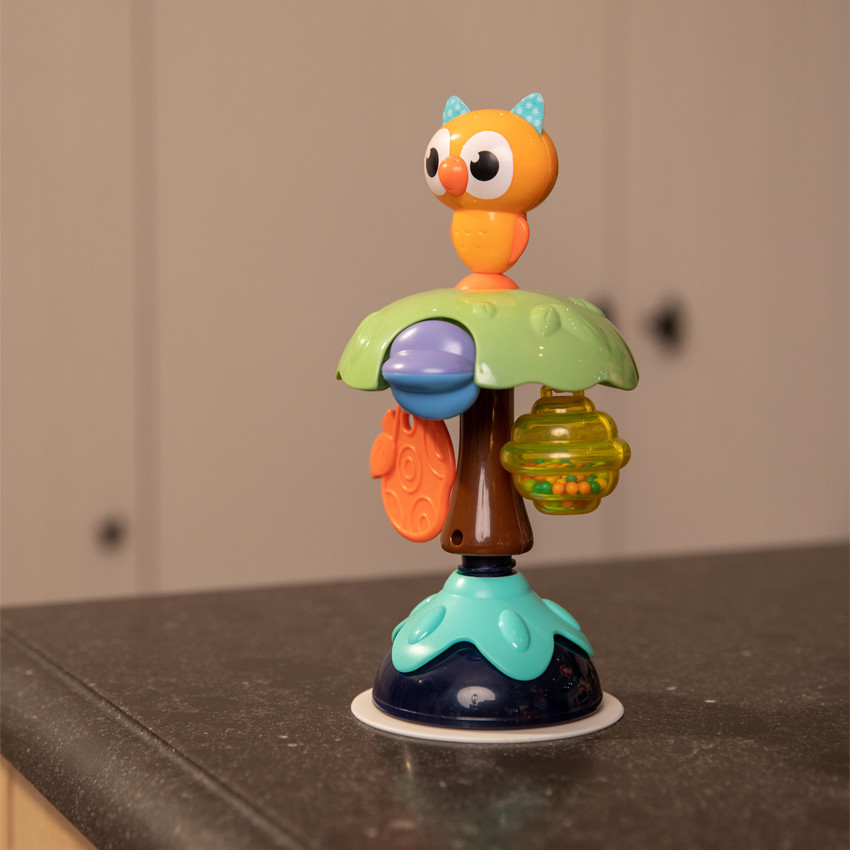 Chouette à ventouse 