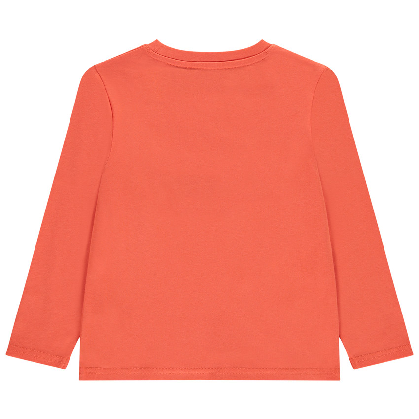 T-shirt manches longues fantaisie pour garçon  