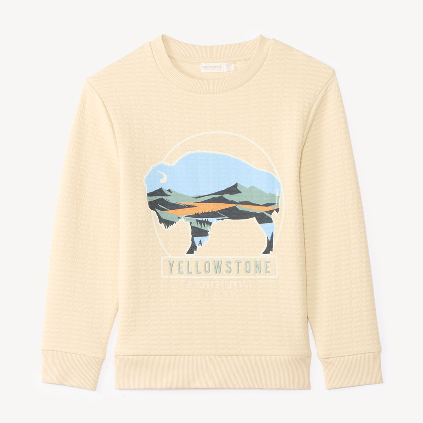 Sweat garçon en maille texturée et print fantaisie 