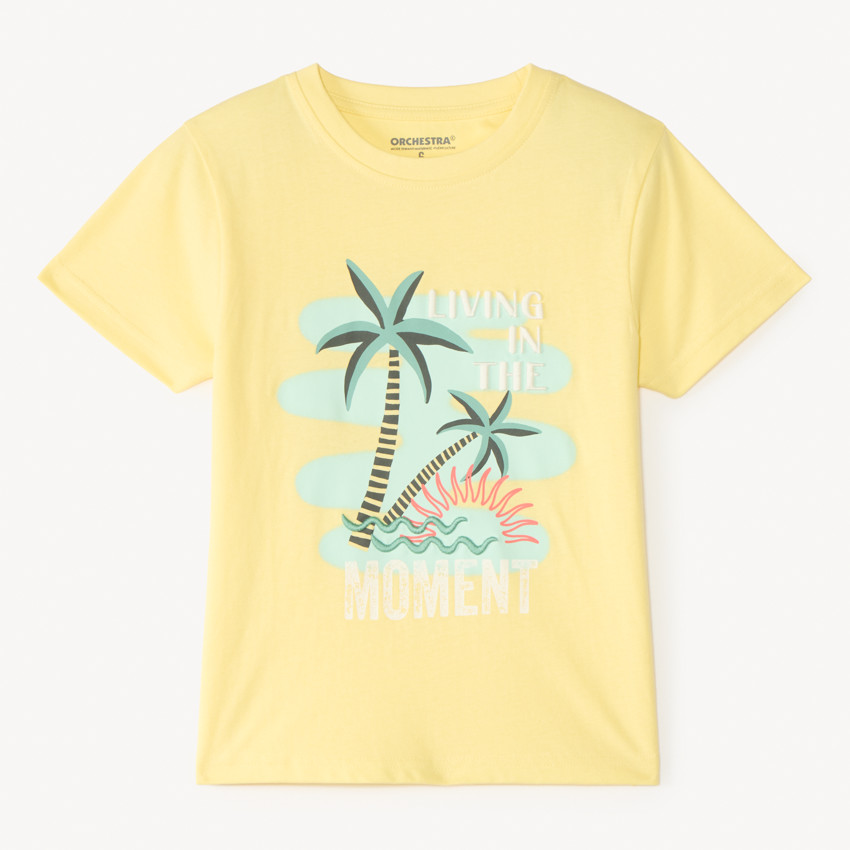 T-shirt manches courtes print fantaisie palmier pour garçon