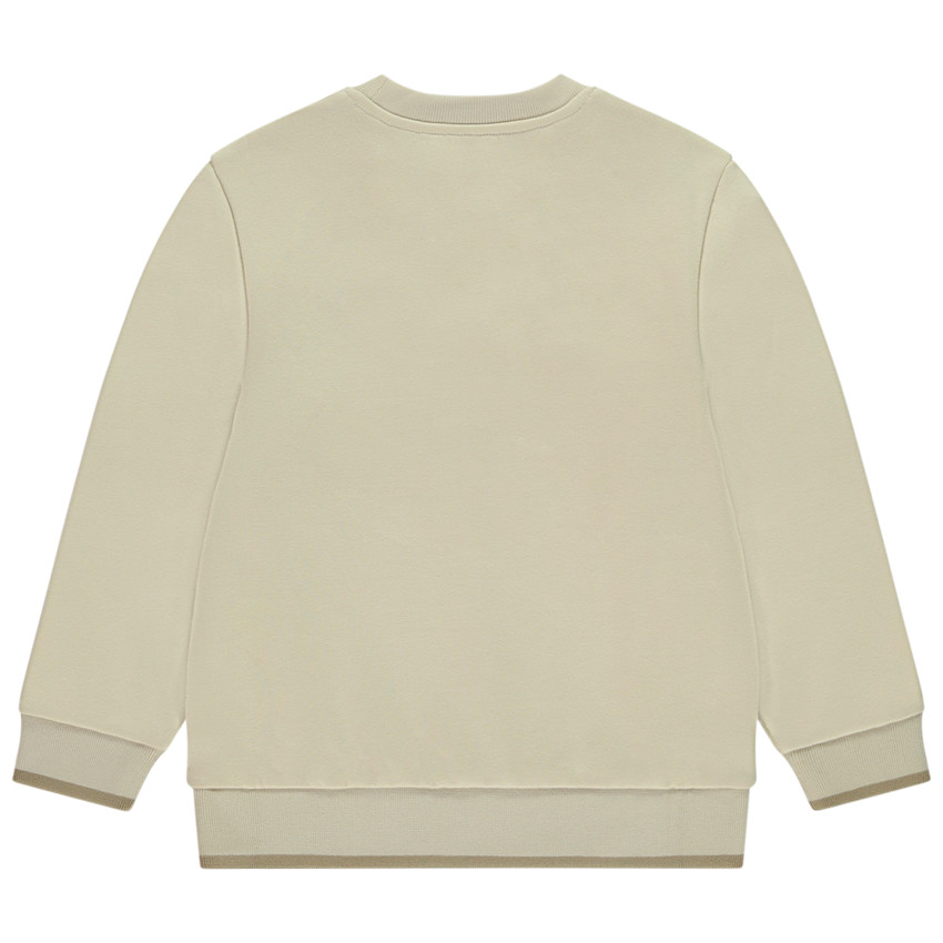 Sweat molleton avec animal brodé style origami pour garçon 