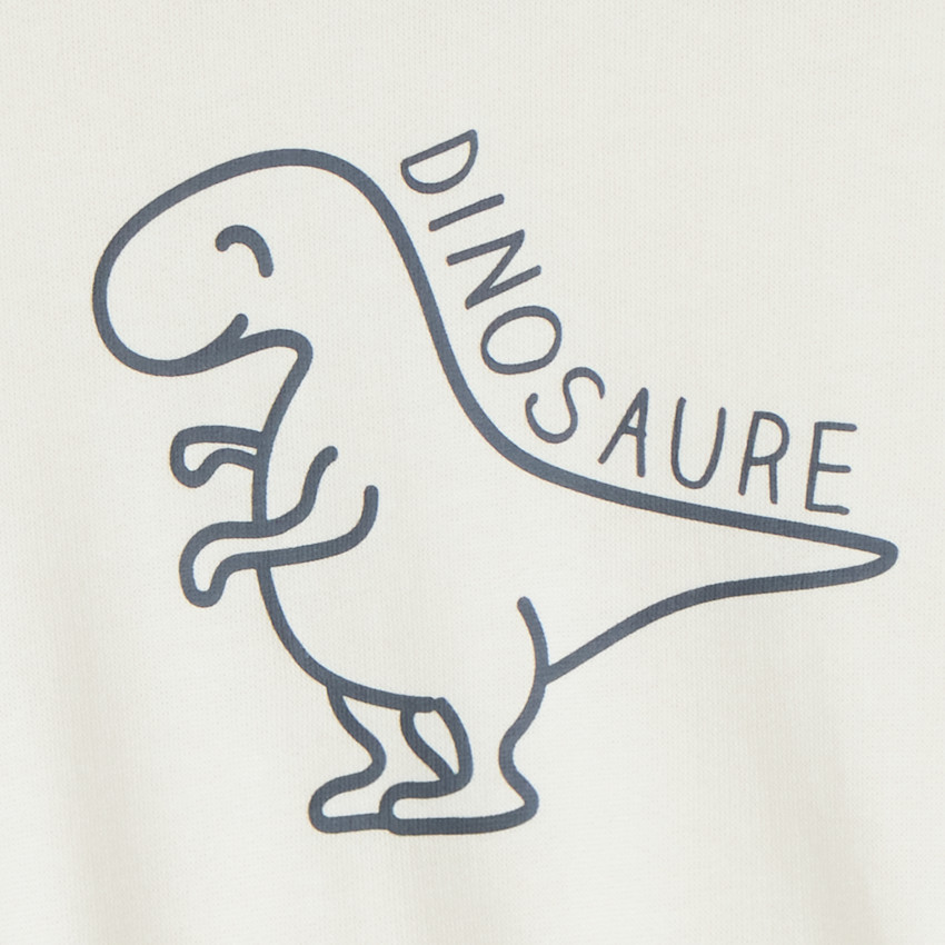 Sweat molleton oversize print dino pour bébé garçon 