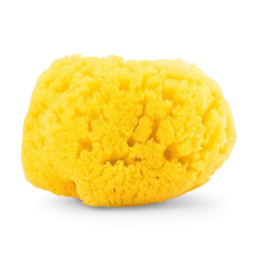 Eponge de Bain 100% Naturelle - Eponge de Mer - Jaune (Chicco) - Image 1