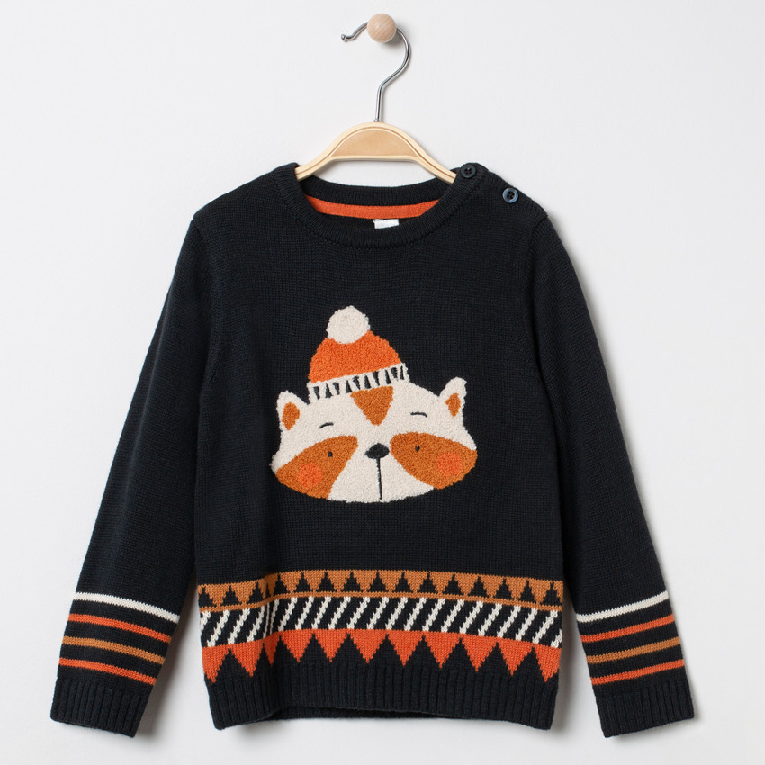 Pull en tricot à motif raton laveur en bouclette 