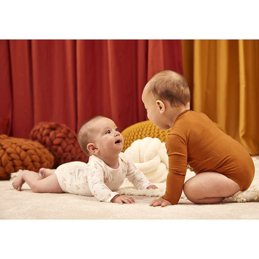 Lot de 5 bodies manches longues ourson pour bébé garçon 