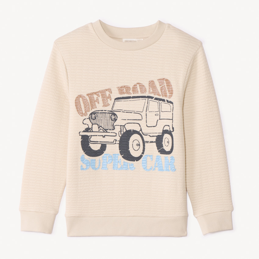 Sweat en molleton texturé fantaisie pour garçon