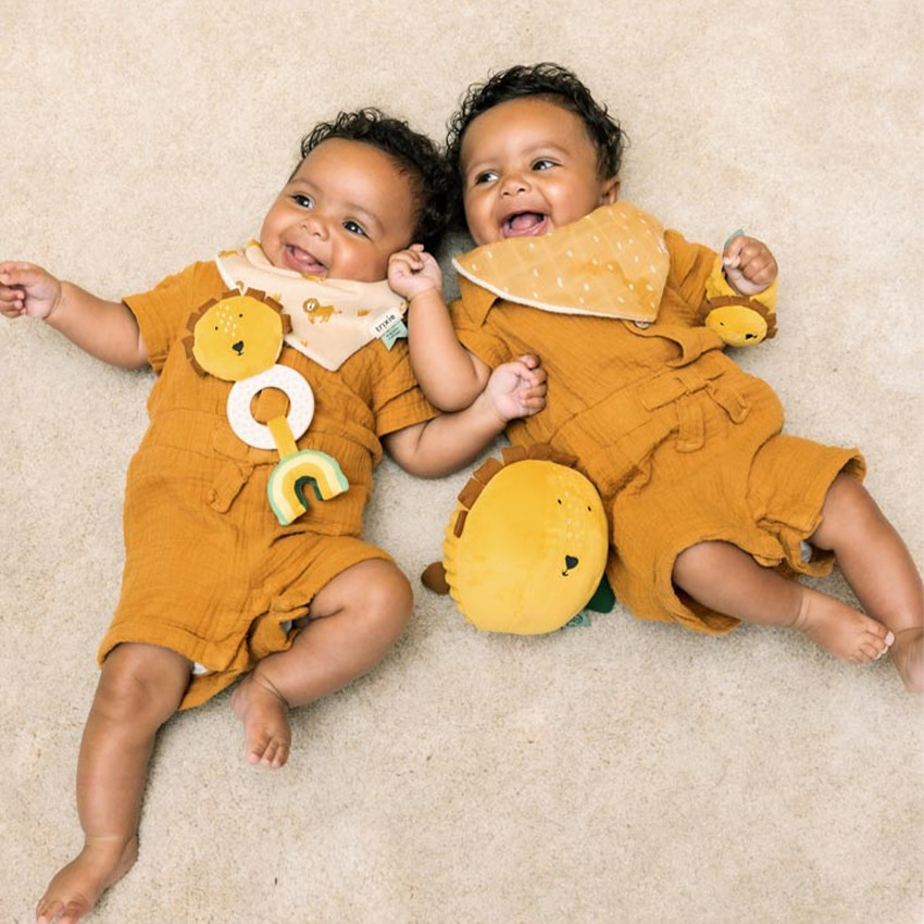 Anneau de dentition Mr lion 