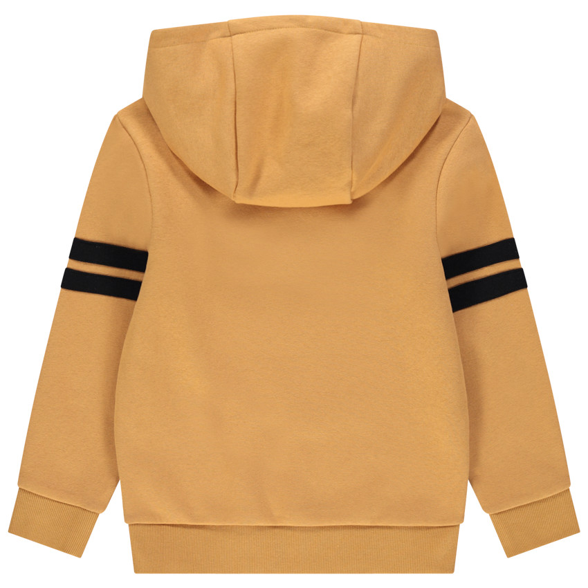 Sweat à capuche en molleton print effet velours et broderie Smileyworld pour garçon 