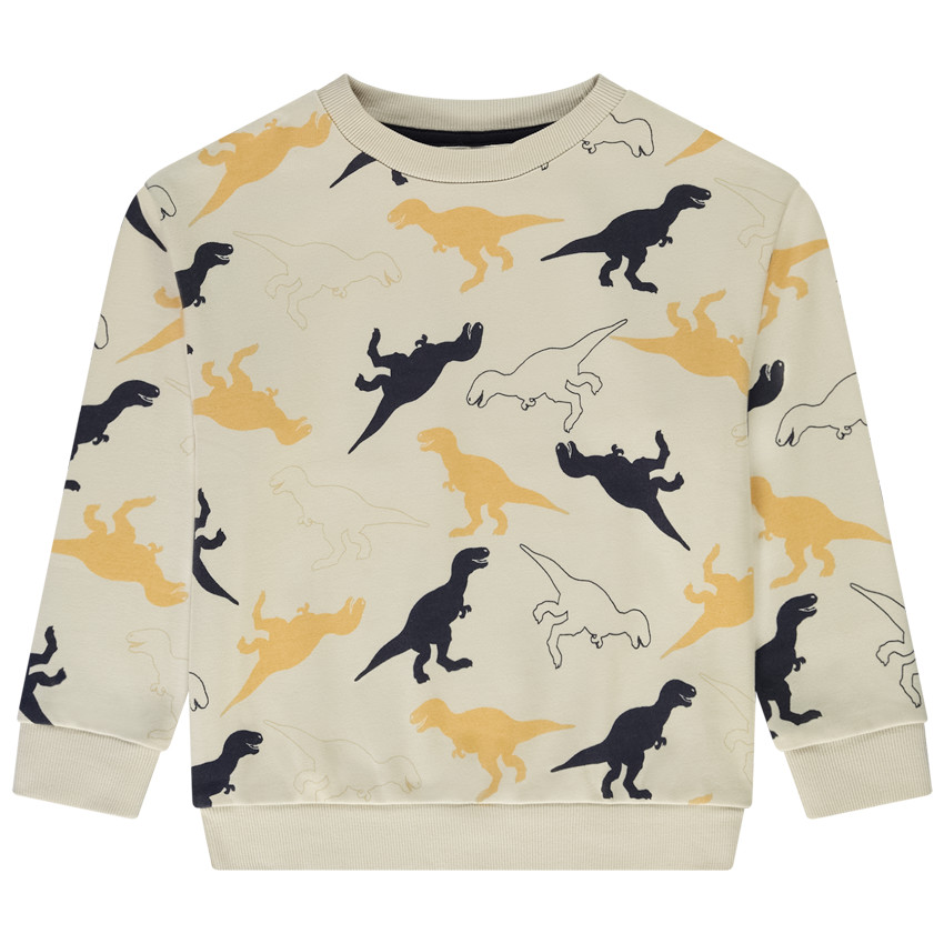 Sweat molleton imprimé dinos pour garçon