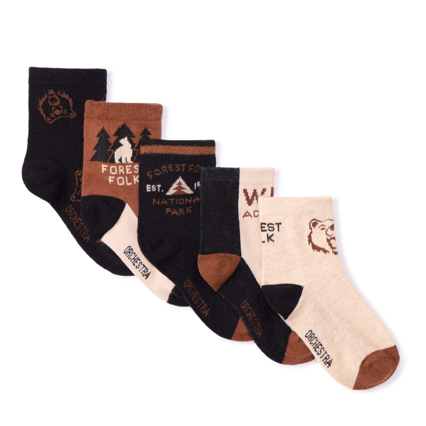 Lot de 5 paires de chaussettes motifs forêt pour garçon 