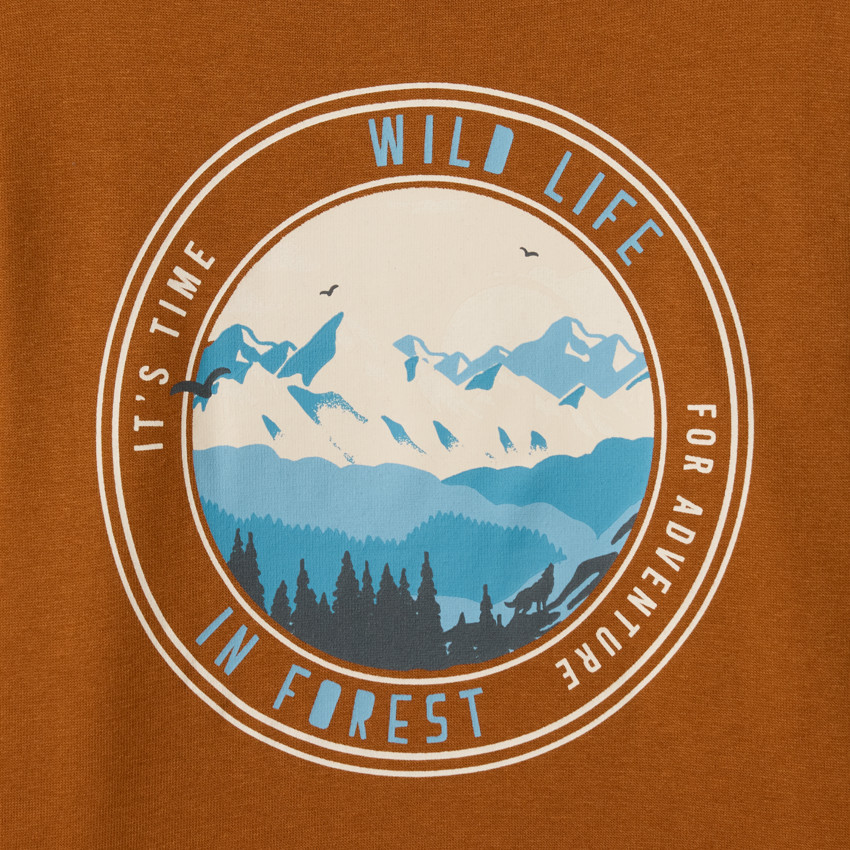 Lot de 3 sweats molleton fantaisies pour garçon  