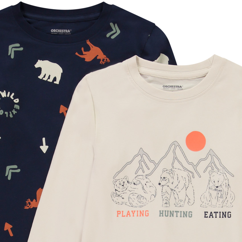 Lot de 4 t-shirts manches longues motifs fantaisie garçon 