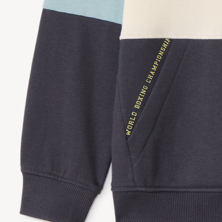 Sweat molleton à capuche effet color block pour garçon 