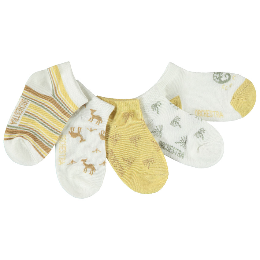 Lot de 5 paires de chaussettes courtes Désert pour bébé garçon 
