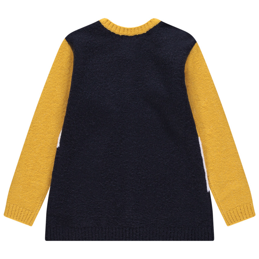 Gilet en tricot tricolore boutonné 