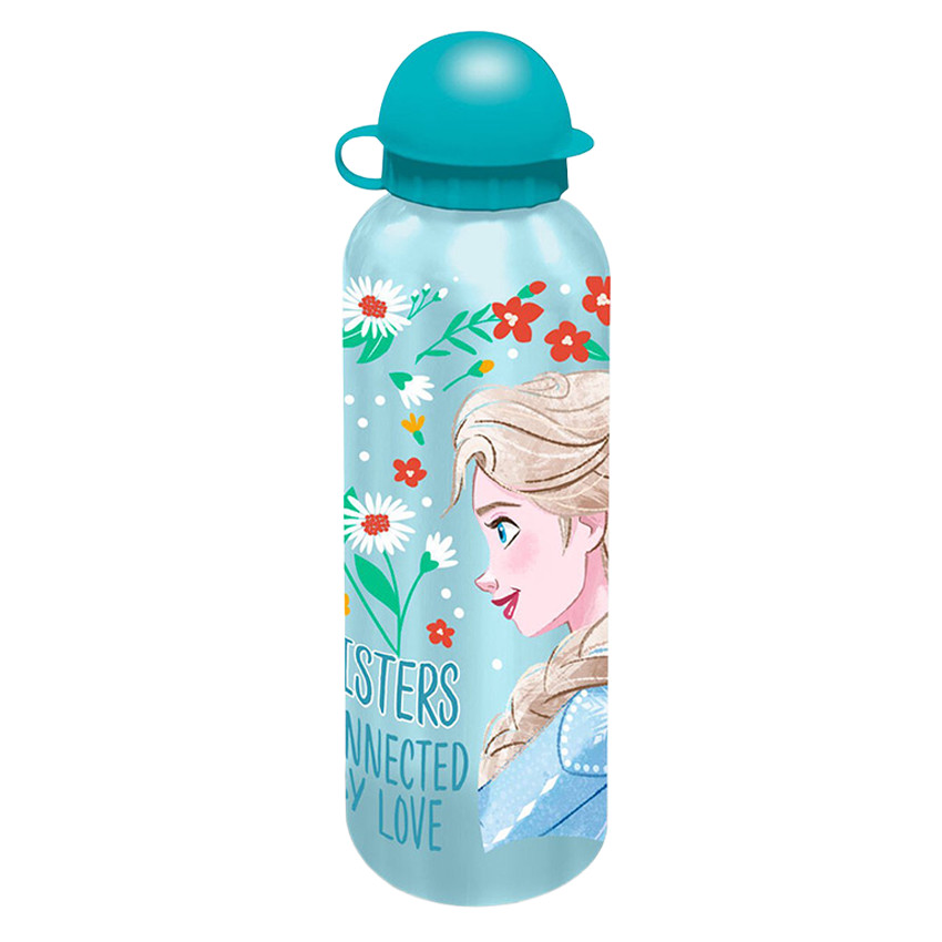 Gourde alu 500ml Reine des neiges Ass. 