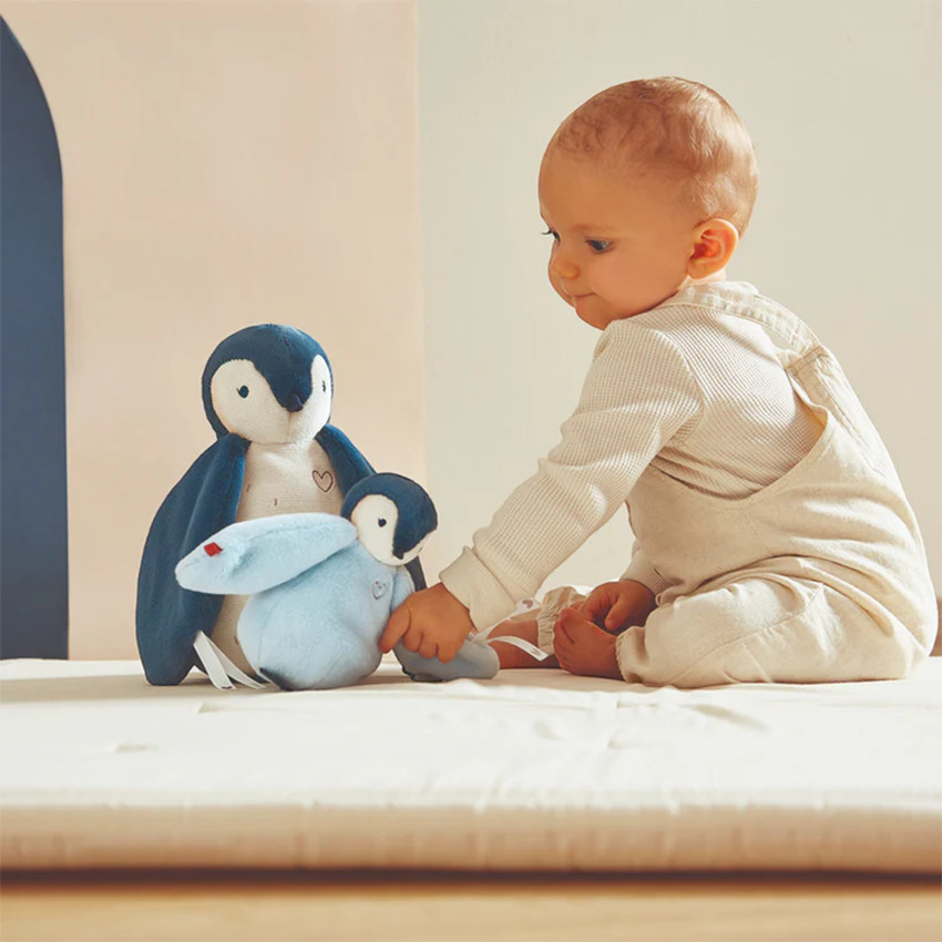 Duo de peluches manchots câlins bleu 