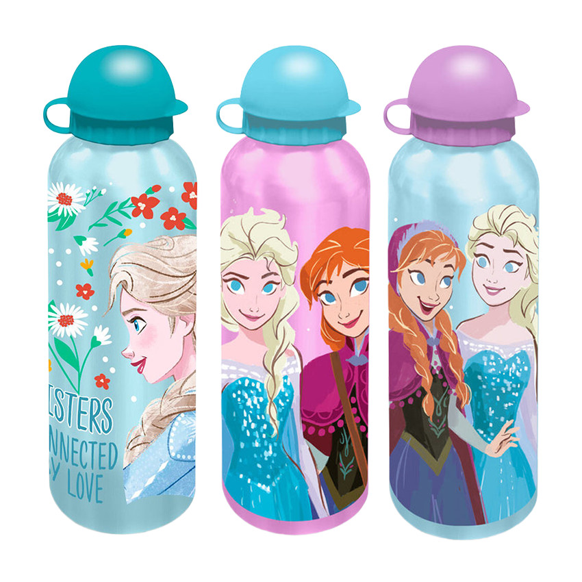 Gourde alu 500ml Reine des neiges Ass. 
