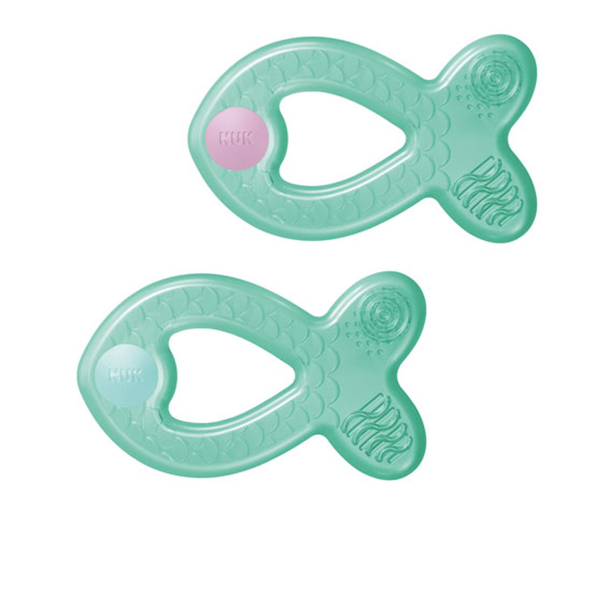 Anneau De Dentition Ch-Gr-Anneau De Dentition