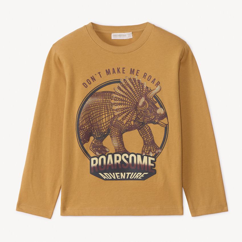 T-shirt manches longues print dinosaure pour garçon