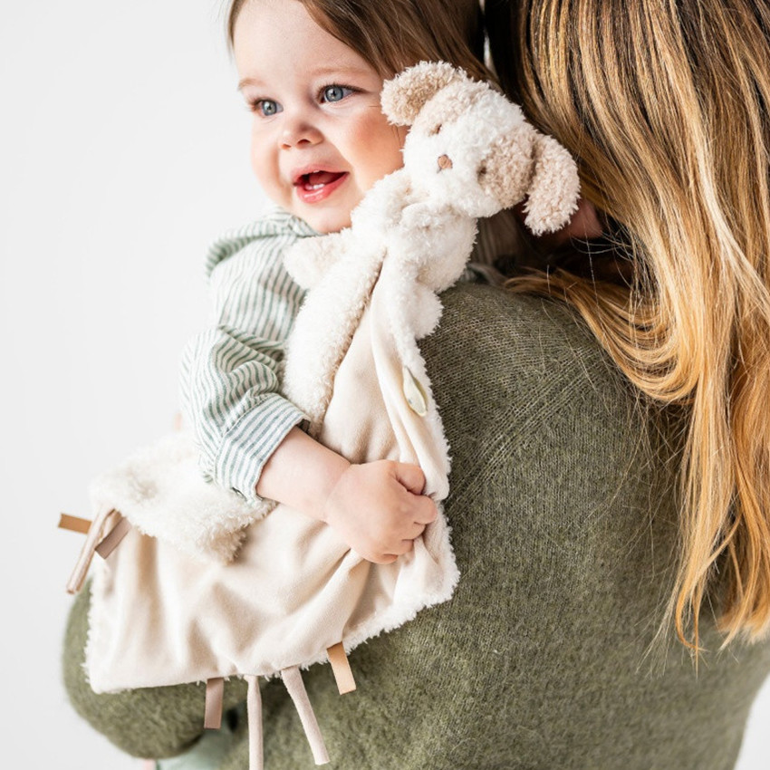 Doudou avec peluche chien - Teddy - Ecru  