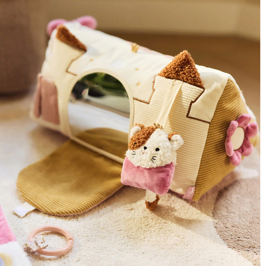 Triangle d'Activités - Flower Fairies 