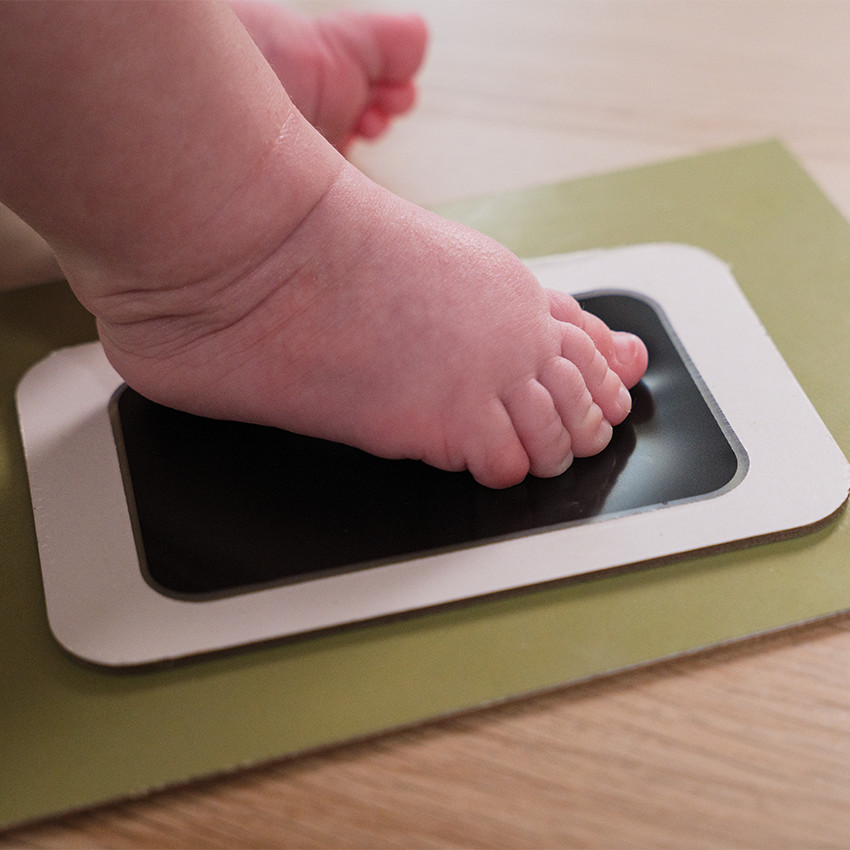 Moulage pêle-mêle olive Tree  