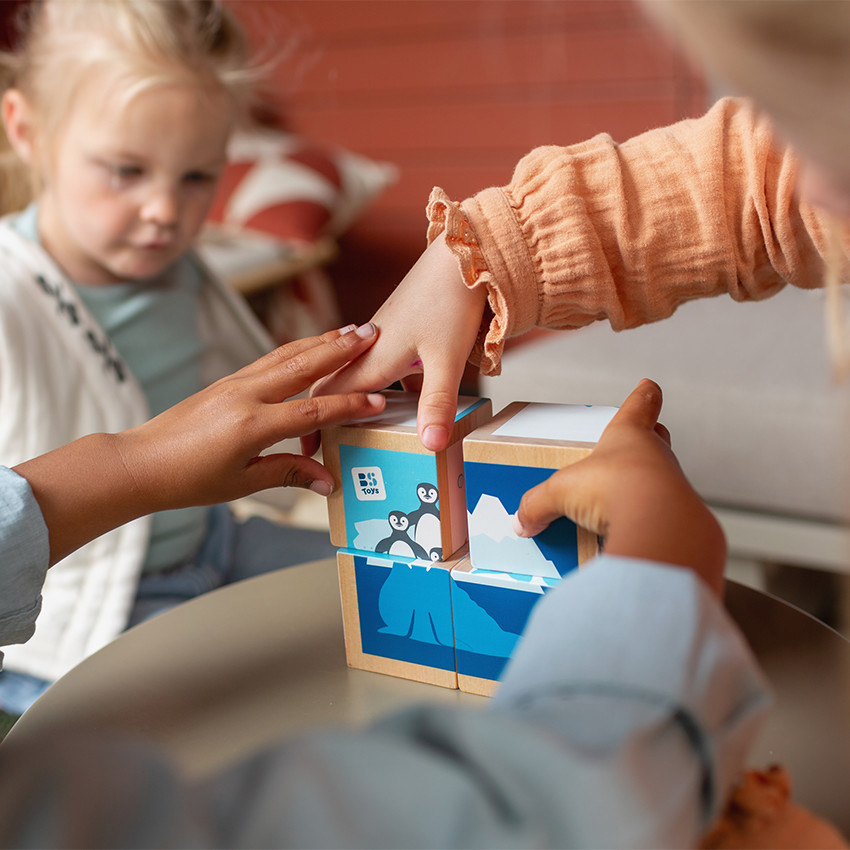 Puzzle de blocs arctiques  