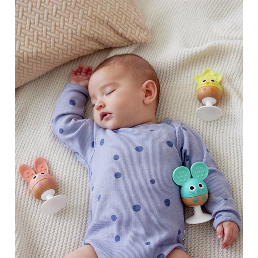 Ensemble hochet et anneau de dentition avec ventouse 